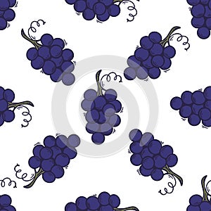 Ripe branches of blue grapes background