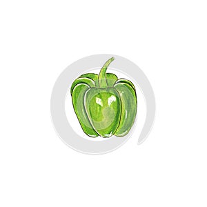 Ripe bright green bell peppers on a white background isolated fresh crop, vegetarian food