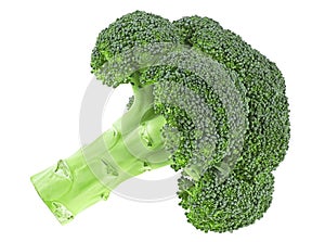 Ripe broccoli cabbage isolated on white background. Healthy food