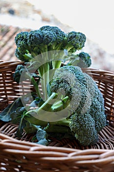 ripe broccoli cabbage in a wicker basket