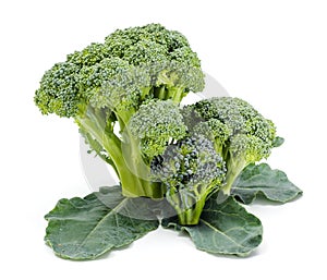 Ripe broccoli crops on leaves