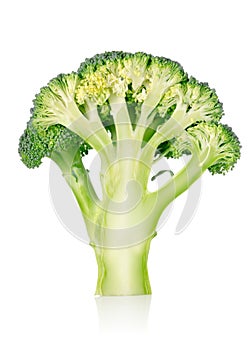 Ripe broccoli isolated