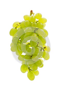 Ripe bunch green grapes isolated on the white background