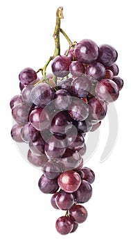 Ripe bunch red grape