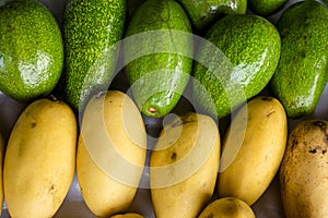 Ripe Carabao Mangoes and Green Avocadoes on display and for sale at a local market store