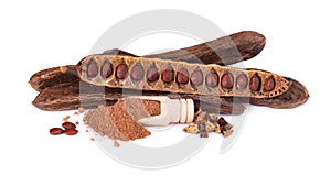 Ripe carob pods and bean isolated on white background. Top view