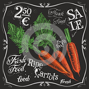 Ripe carrots vector logo design template. fresh
