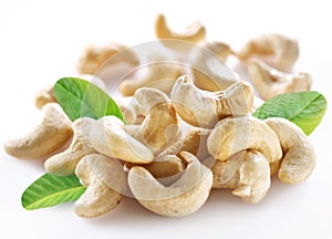 Ripe cashew nuts. photo
