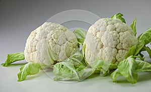 Ripe cauliflower with green leaves