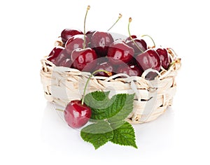 Ripe cherries basket