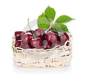 Ripe cherries basket