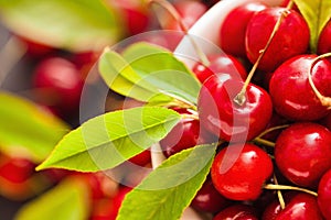 Ripe cherries