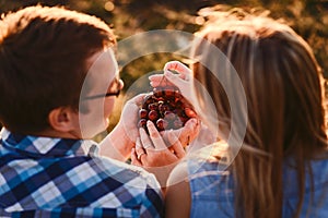 Ripe cherries in the hands of adolescents