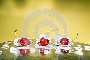 Ripe cherries in plates of white oyster shells on a yellow background