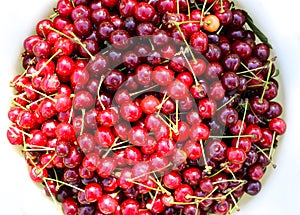 Ripe cherries with stalks.