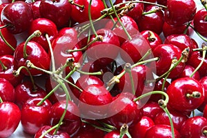 Ripe cherries on the table