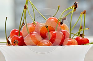 Ripe cherries in a white plate on a white background. Porcelain bowl filled with fruit, still life