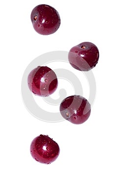 Ripe cherry berries fall on a white isolated background.