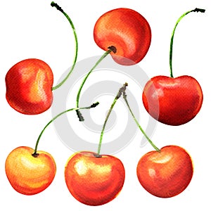 Ripe cherry berry fruits, cherries, isolated, watercolor illustration on white