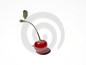 One ripe cherry fruit closeup isolated on a white background