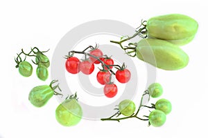 Ripe Cherry and green unripe tomatoes