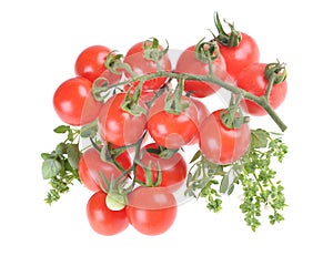Ripe cherry tomatoes, basil, isolated on white