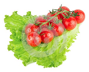 Ripe cherry tomatoes bunch on lettuce leaf isolated on white background. Fresh vegetables ingredients.