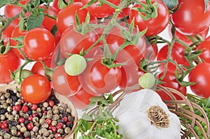 Ripe cherry tomatoes, peppercorns, garlic, basil, isolated on a white
