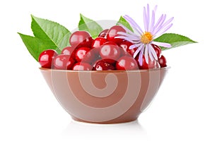 Ripe cherry in tureen with green leaves and flower photo