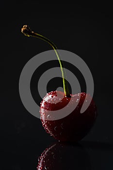 Ripe cherry with water drops on black