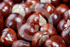 Ripe chestnuts background