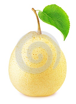 Ripe chinese pear with green leaf isolated