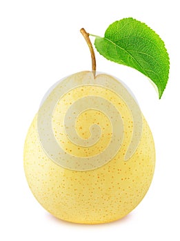 Ripe chinese pear with green leaf isolated