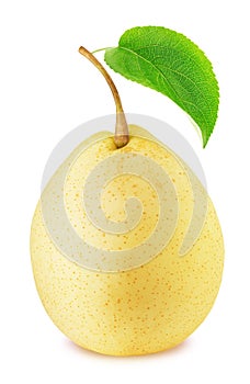 Ripe chinese pear with green leaf isolated