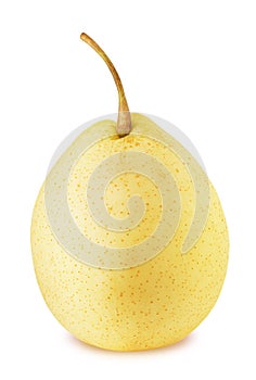 Ripe chinese pear with stem isolated