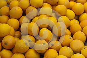Ripe citron fruit