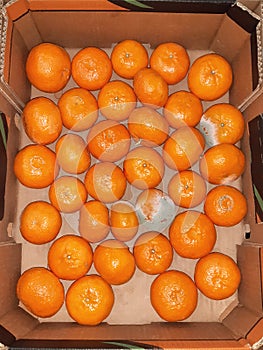 Ripe citrus fruits in cardboard boxe photo