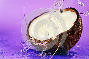 Ripe coconut