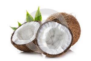 Ripe coconut and its parts with green palm leaves close-up