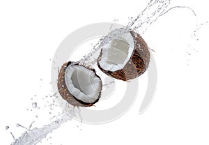 ripe coconut split in half with a splash