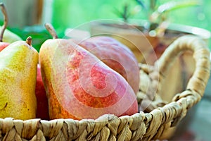 Ripe colorful red and yellow organic pears in wicker basket on garden table by window, flowers in pots, green background