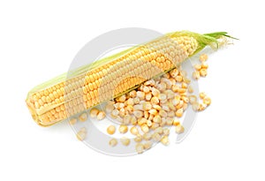 Ripe corn cob and kernels on white background