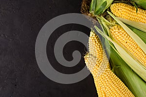 Ripe corn cobs