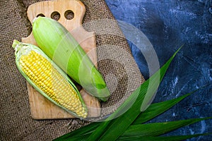 Ripe corn cobs on a black dark background.