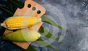 Ripe corn cobs on a black dark background.