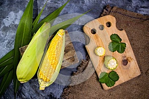 Ripe corn cobs on a black dark background.