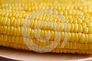 Ripe corn cobs steamed or boiled sweetcorn for food vegan dinner or snack, cooked sweet corn background