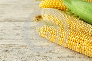 Ripe corn cobs on wooden background, closeup