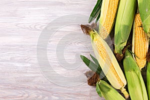 ripe corn cobs on wooden background