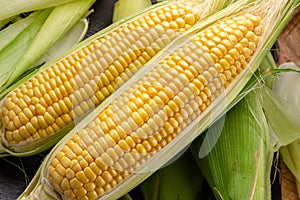 Ripe corn heads with corn whiskers and leaves